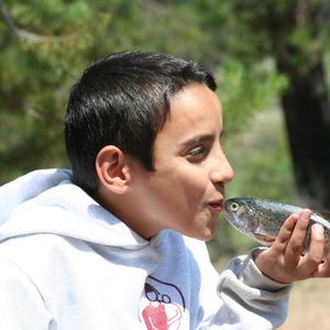 Meet your Posher, Shannon